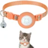 orange-with-paw-1pcs
