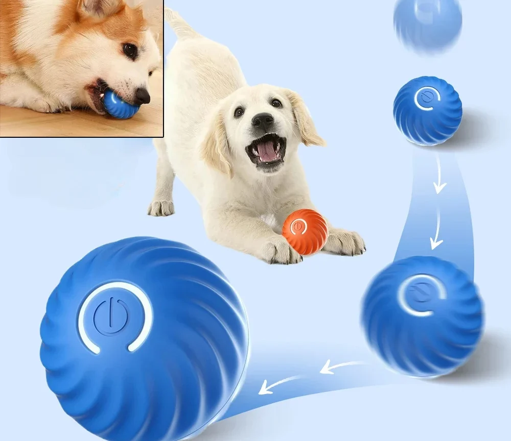 כדור צעצוע לחיות מחמד קופצני