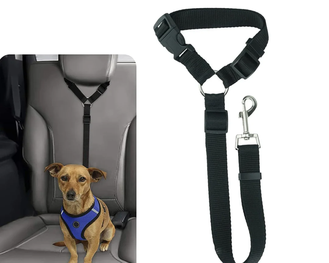 חגורת מושב בטיחות לרכב לכלבים וחתולים