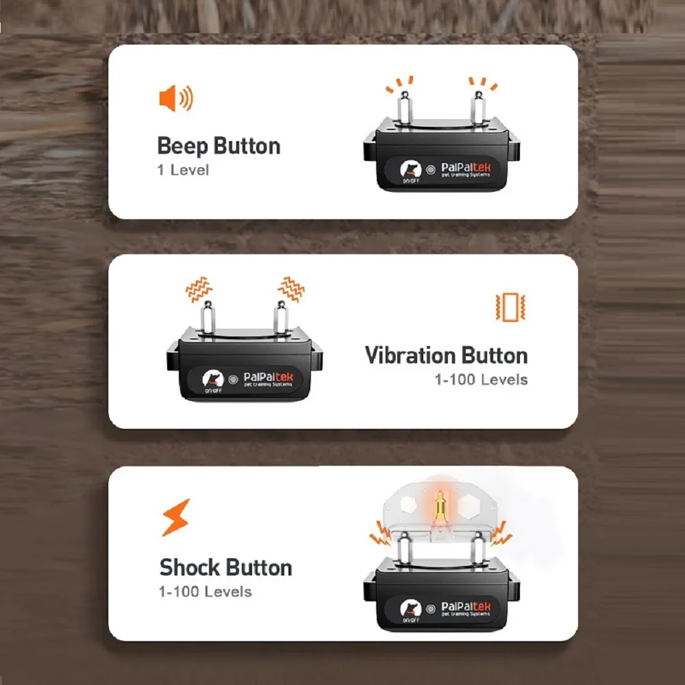 שלט רחוק לאילוף כלבים – תמונה 3