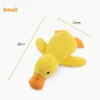 small-duck