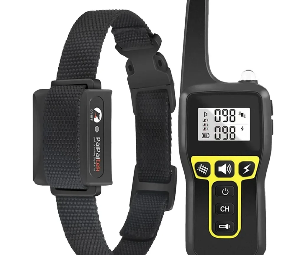 שלט רחוק לאילוף כלבים