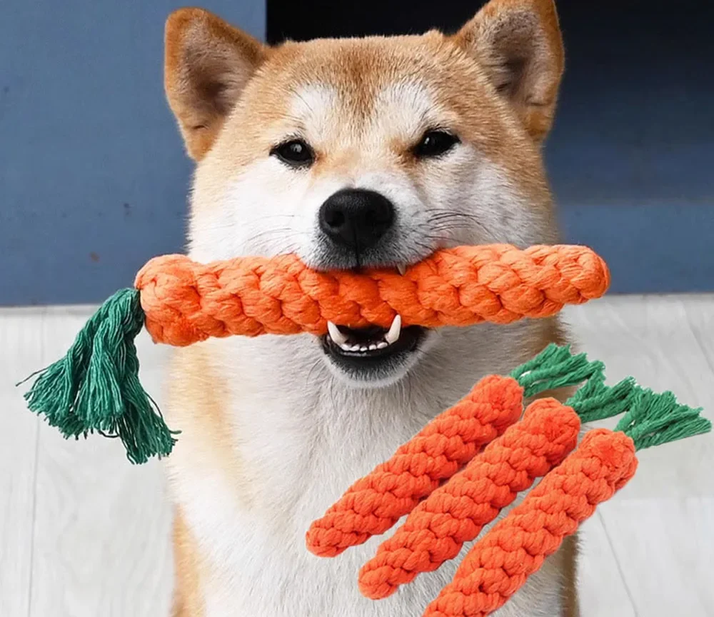 צעצוע גזר לחיות מחמד